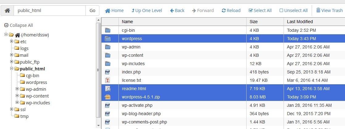 Tampilan File Manager - Public HTML with WordPress Files